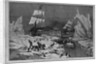 Seal hunting in the northern seas by Schell and Hogan, from sketches by J.W. Hayward