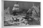 Seal hunting in the northern seas by Schell and Hogan, from sketches by J.W. Hayward
