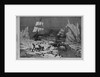 Seal hunting in the northern seas by Schell and Hogan, from sketches by J.W. Hayward