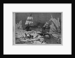 Seal hunting in the northern seas by Schell and Hogan, from sketches by J.W. Hayward