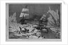 Seal hunting in the northern seas by Schell and Hogan, from sketches by J.W. Hayward
