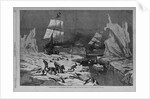 Seal hunting in the northern seas by Schell and Hogan, from sketches by J.W. Hayward