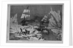 Seal hunting in the northern seas by Schell and Hogan, from sketches by J.W. Hayward