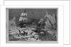 Seal hunting in the northern seas by Schell and Hogan, from sketches by J.W. Hayward