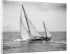Diamond Head Yacht During a Race by Anonymous