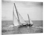 Diamond Head Yacht During a Race by Anonymous