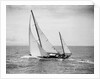 Diamond Head Yacht During a Race by Anonymous