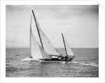 Diamond Head Yacht During a Race by Anonymous