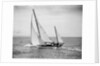 Diamond Head Yacht During a Race by Anonymous