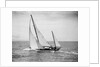 Diamond Head Yacht During a Race by Anonymous