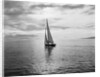 Alotola Yacht in Calm Water by Anonymous