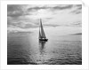 Alotola Yacht in Calm Water by Anonymous