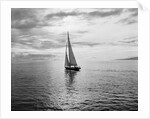 Alotola Yacht in Calm Water by Anonymous