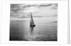Alotola Yacht in Calm Water by Anonymous
