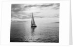 Alotola Yacht in Calm Water by Anonymous