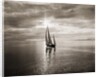 Diamond Head Yacht in Swiftsure Race by Anonymous