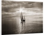 Diamond Head Yacht in Swiftsure Race by Anonymous