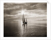 Diamond Head Yacht in Swiftsure Race by Anonymous