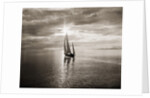 Diamond Head Yacht in Swiftsure Race by Anonymous