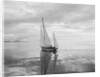 The Maruffa Sailboat in Calm Water by Anonymous