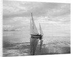 The Maruffa Sailboat in Calm Water by Anonymous