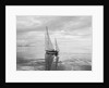 The Maruffa Sailboat in Calm Water by Anonymous