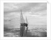 The Maruffa Sailboat in Calm Water by Anonymous