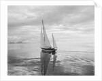 The Maruffa Sailboat in Calm Water by Anonymous
