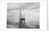 The Maruffa Sailboat in Calm Water by Anonymous