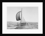 A Sailboat Running with Its Spinnaker Up by Anonymous