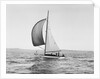 A Sailboat Running with Its Spinnaker Up by Anonymous