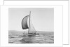 A Sailboat Running with Its Spinnaker Up by Anonymous