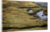 Marsh on Clew Bay by Anonymous