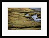 Marsh on Clew Bay by Anonymous