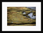 Marsh on Clew Bay by Anonymous