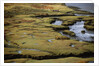 Marsh on Clew Bay by Anonymous