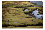 Marsh on Clew Bay by Anonymous