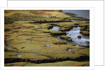 Marsh on Clew Bay by Anonymous