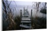 Weathered Dock in Fog by Anonymous