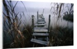 Weathered Dock in Fog by Anonymous