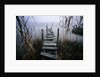 Weathered Dock in Fog by Anonymous
