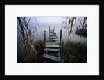 Weathered Dock in Fog by Anonymous