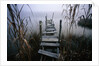 Weathered Dock in Fog by Anonymous