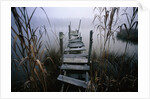 Weathered Dock in Fog by Anonymous