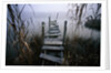 Weathered Dock in Fog by Anonymous