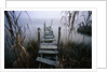 Weathered Dock in Fog by Anonymous