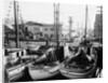 Fishing Boat Sitka and Others Moored at Seattle Docks by Anonymous