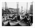 Fishing Boat Sitka and Others Moored at Seattle Docks by Anonymous
