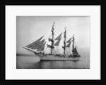 Danish Schooner Danmark by Anonymous
