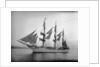 Danish Schooner Danmark by Anonymous